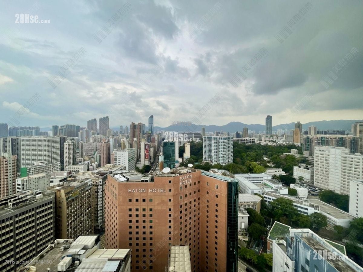 高临 租盘 272 平方尺