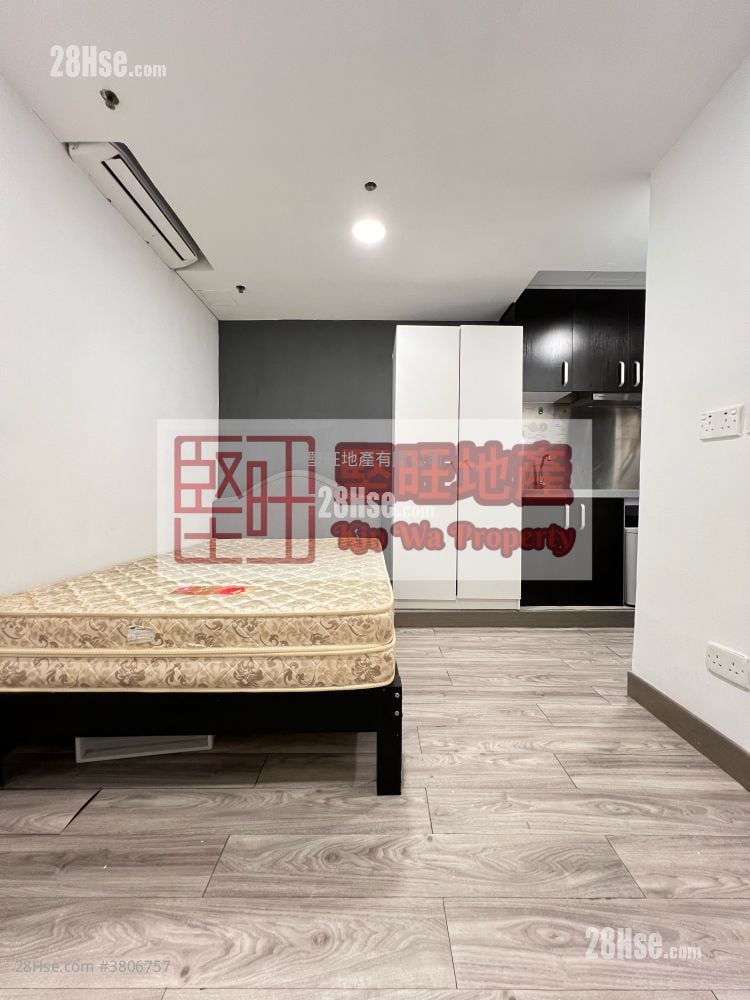 单幢楼房 租盘 开放式间隔 , 1 浴室 140 平方尺