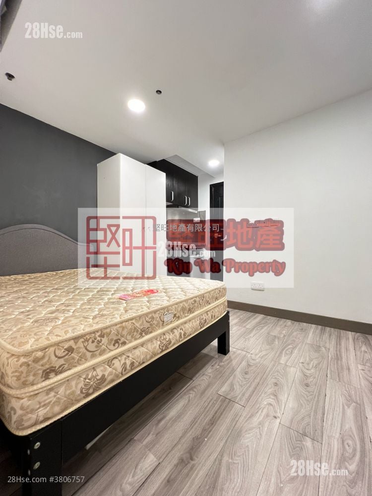 单幢楼房 租盘 开放式间隔 , 1 浴室 140 平方尺