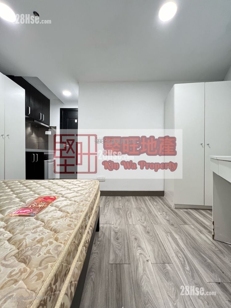 单幢楼房 租盘 开放式间隔 , 1 浴室 140 平方尺