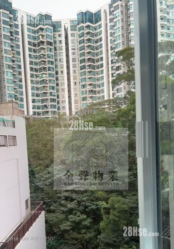 泽丰大厦 租盘 1 房 , 1 浴室 200 平方尺