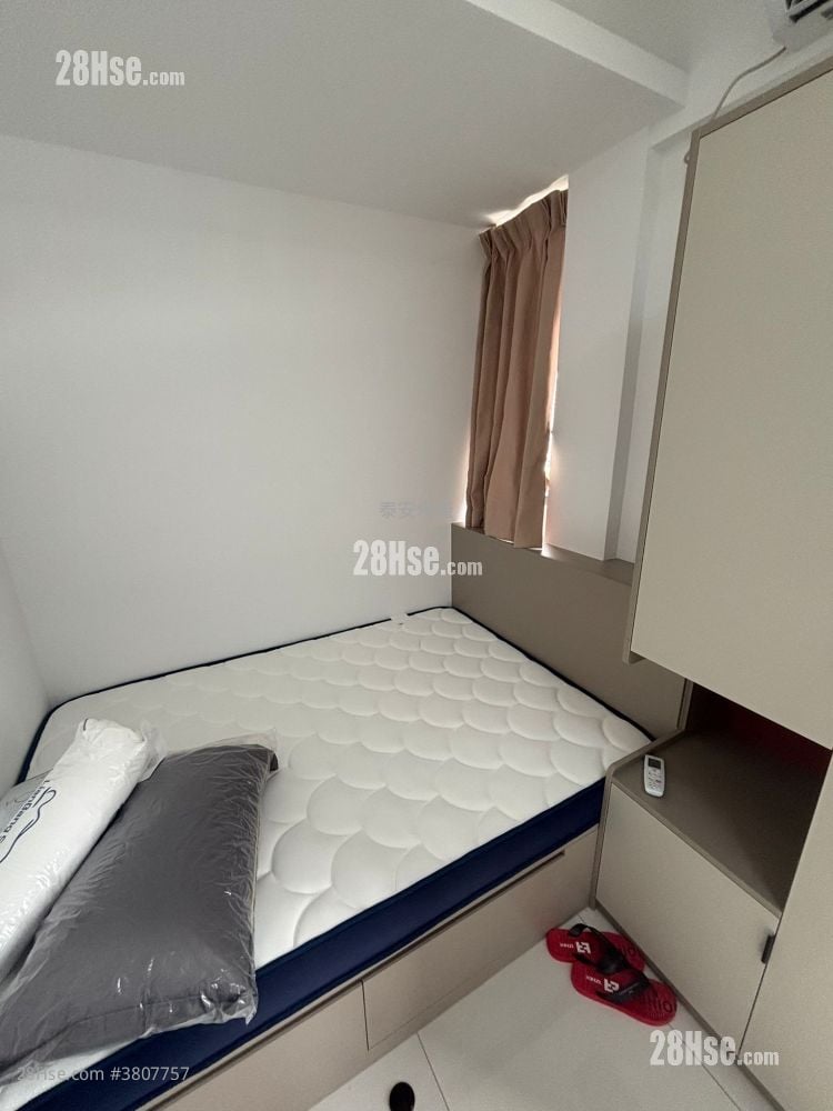 单幢楼房 租盘 1 房 160 平方尺