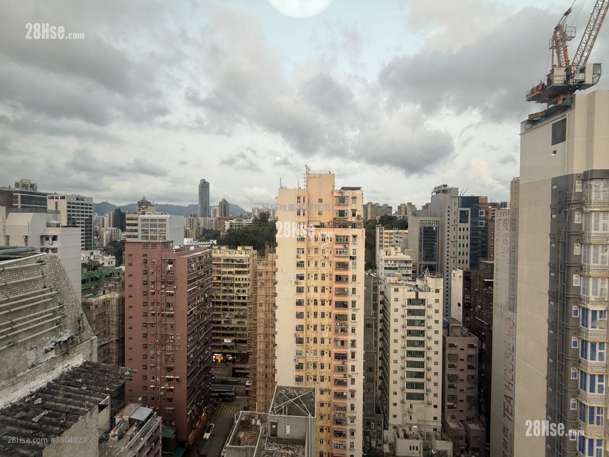 兆丰大厦 租盘 开放式间隔 , 1 浴室 237 平方尺