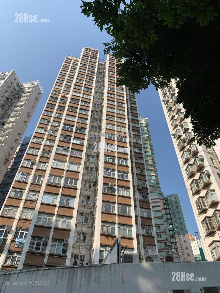 新成中心 租盘 1 房 , 1 浴室 294 平方尺