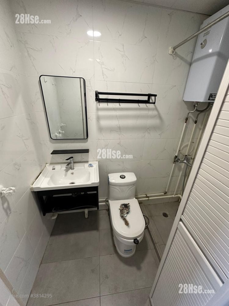 元朗-壆圍 租盤 1 房 , 1 浴室