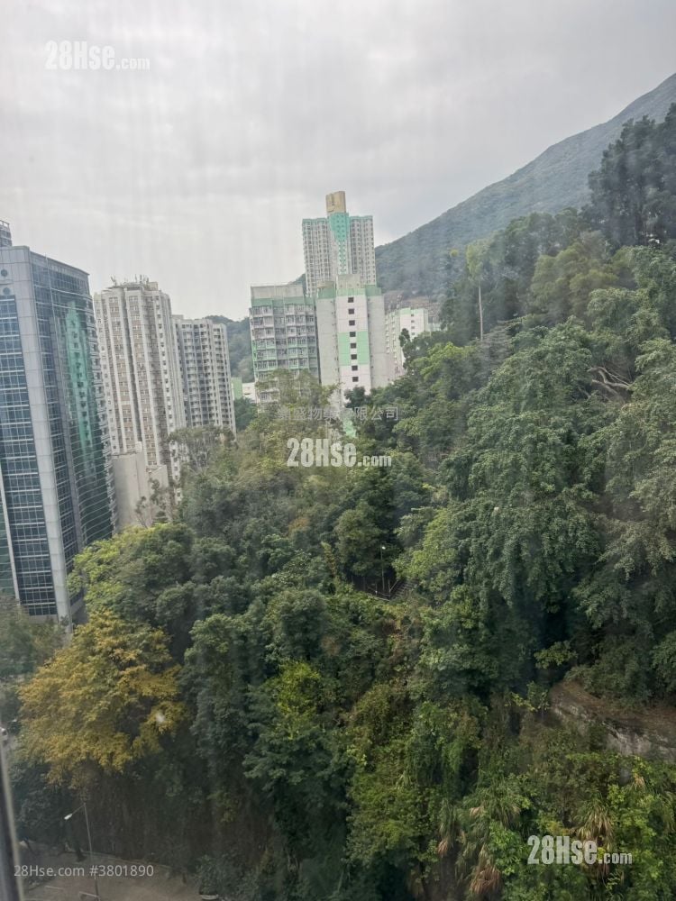 Belleve Court Rental 1 Bedroom , 1 Bathroom 288 ft²