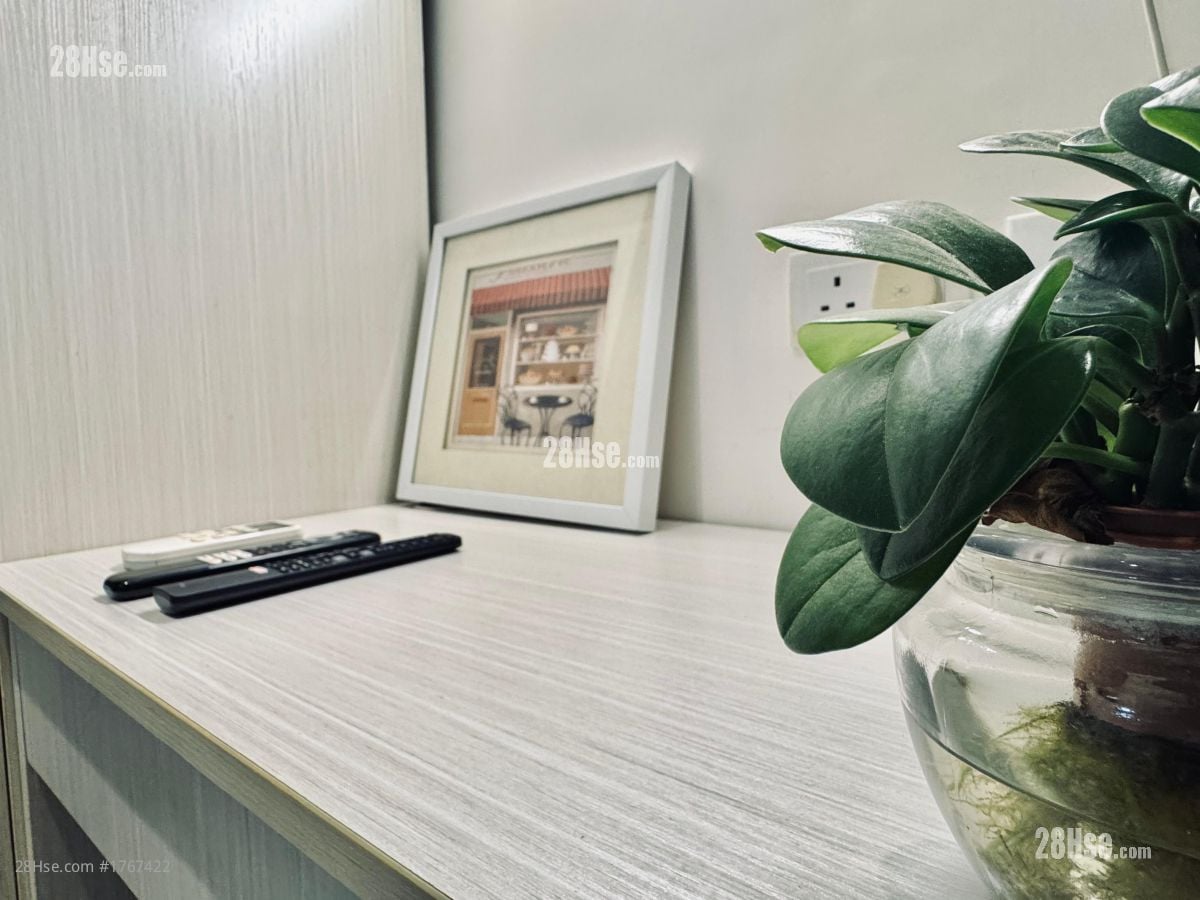 Kingston Building Rental Studio , 1 Bathroom 150 ft²