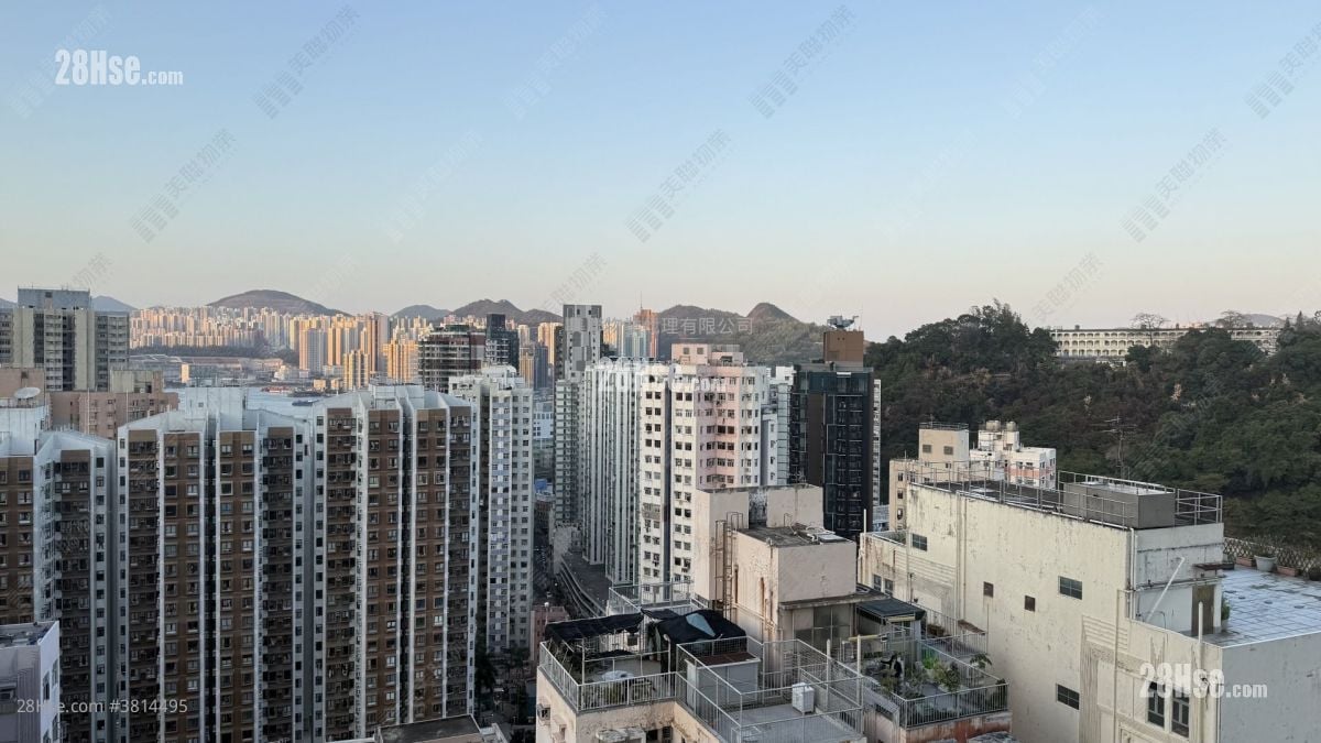 Lime Gala Sell Studio , 1 Bathroom 290 ft²