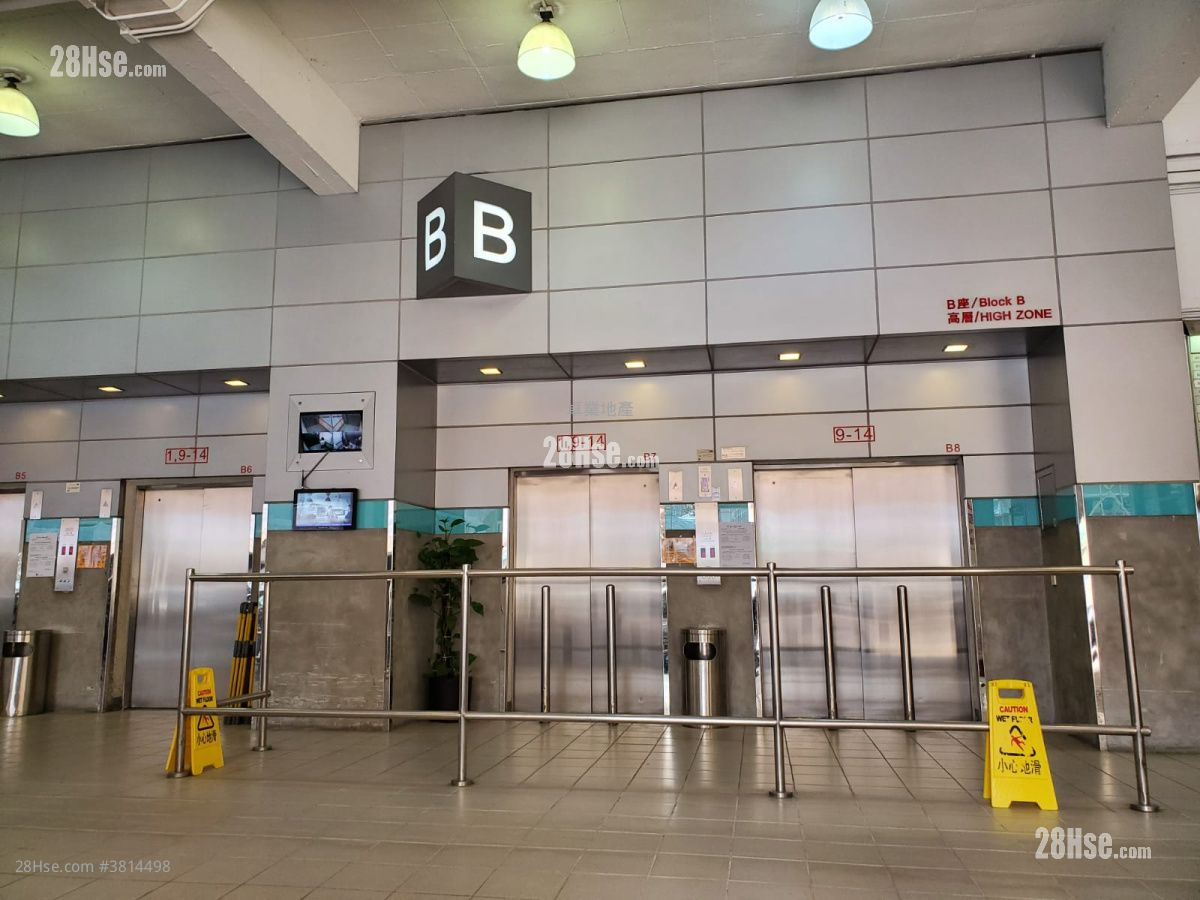 Sea View Estate Rental