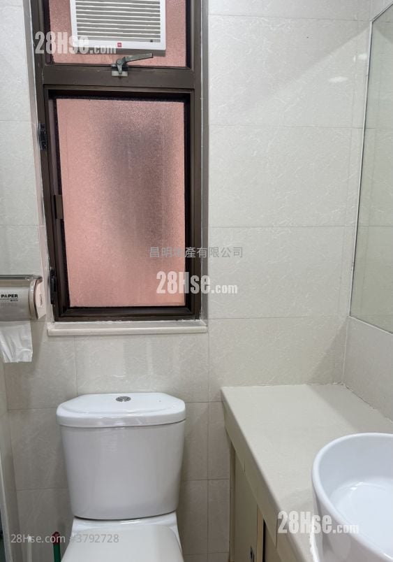 维多利中心 租盘 1 房 524 平方尺