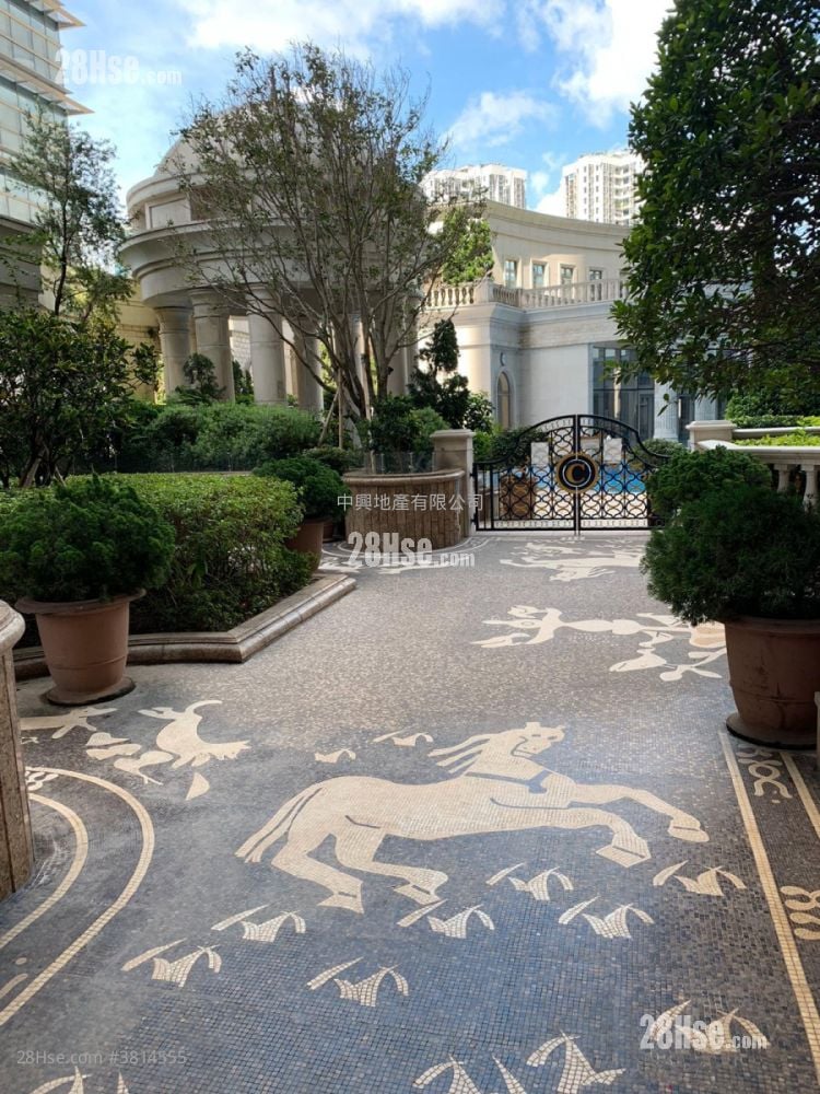 御金国峯 租盘 1 房 , 1 浴室 492 平方尺