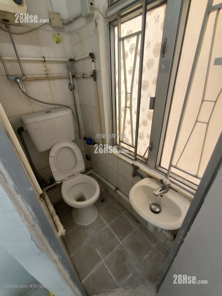 Apartment Rental Studio 150 ft²