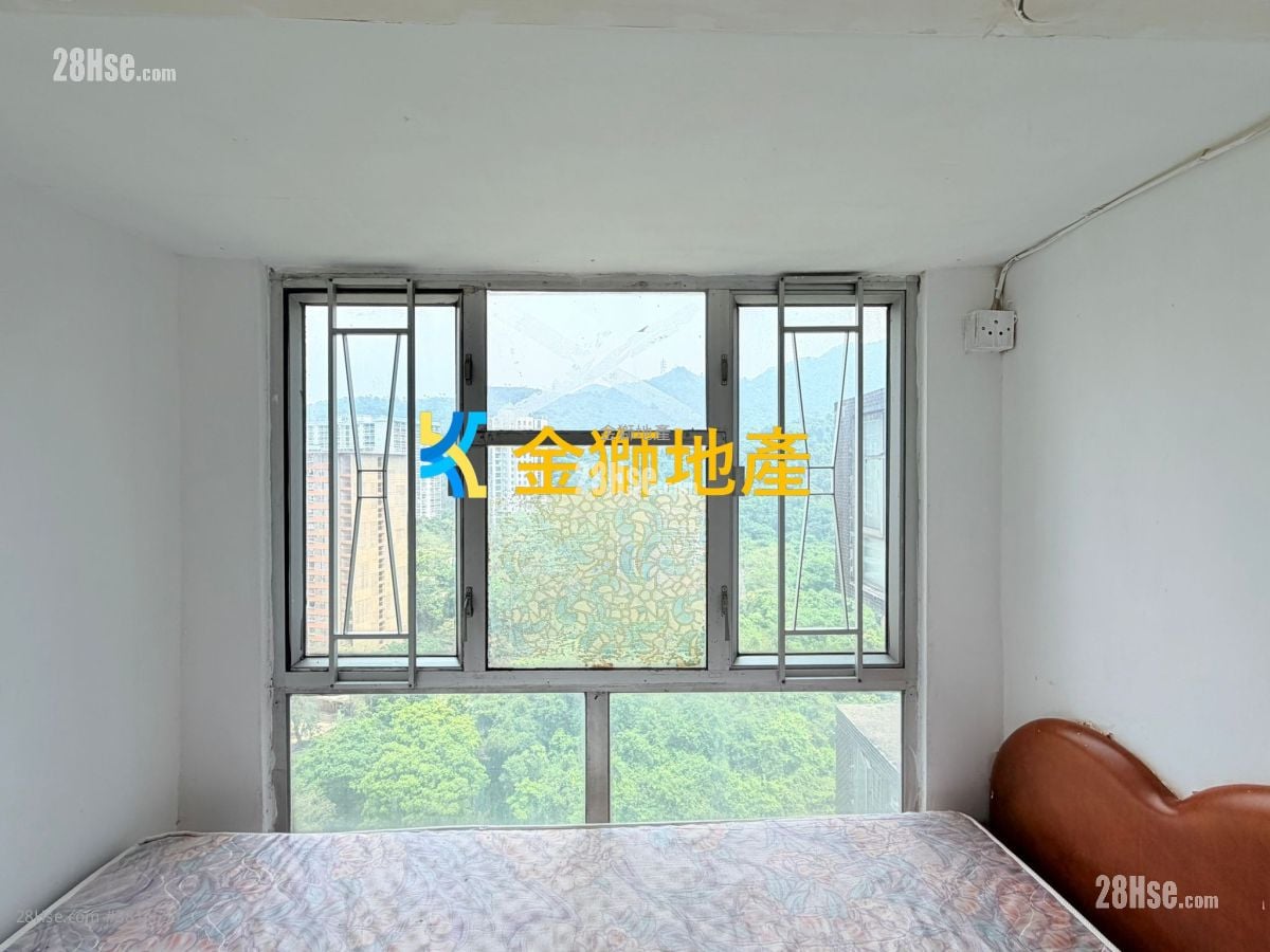 金狮花园 售盘 270 平方尺