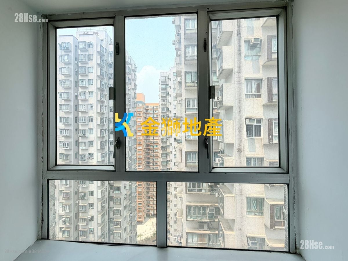 金狮花园 售盘 270 平方尺