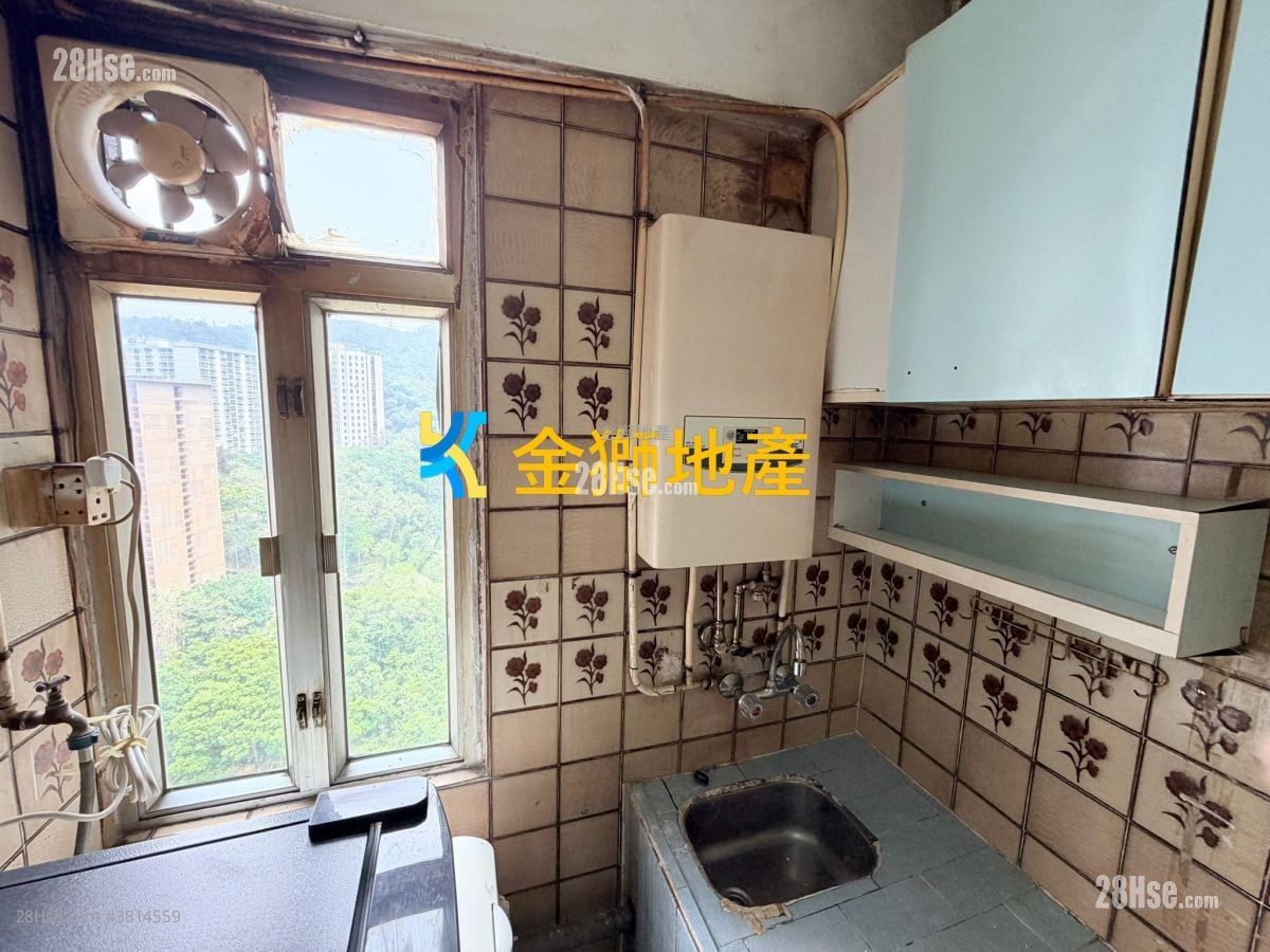 金狮花园 售盘 270 平方尺