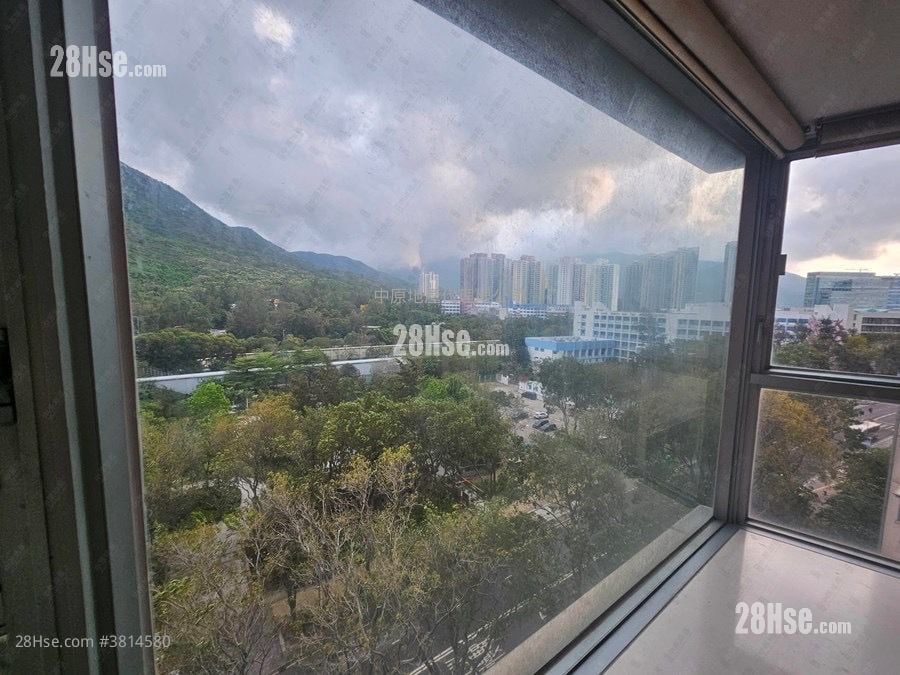 蓝天海岸 售盘 2 房 , 1 浴室 485 平方尺