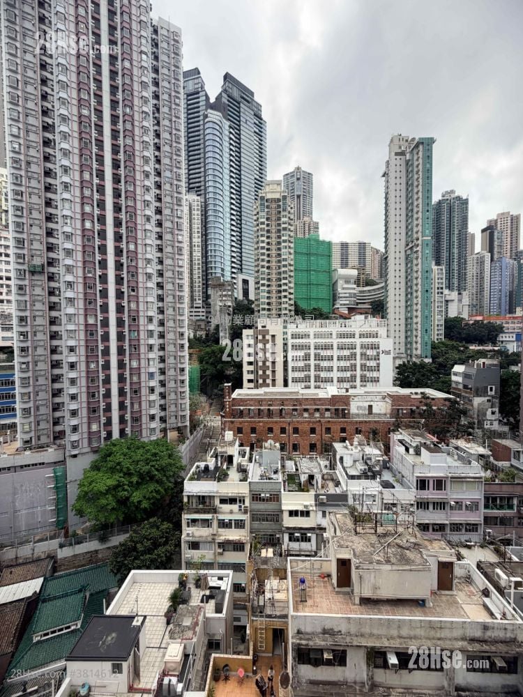 金荷大厦 租盘 203 平方尺