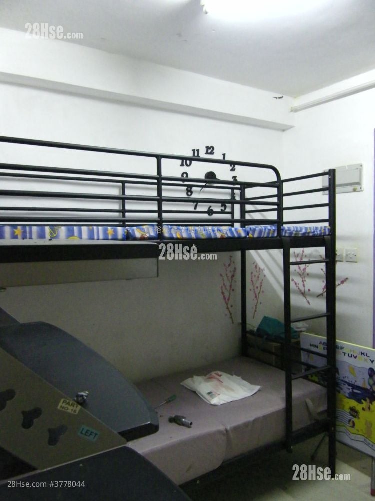 隔田村 租盘 开放式间隔 , 1 浴室 80 平方尺