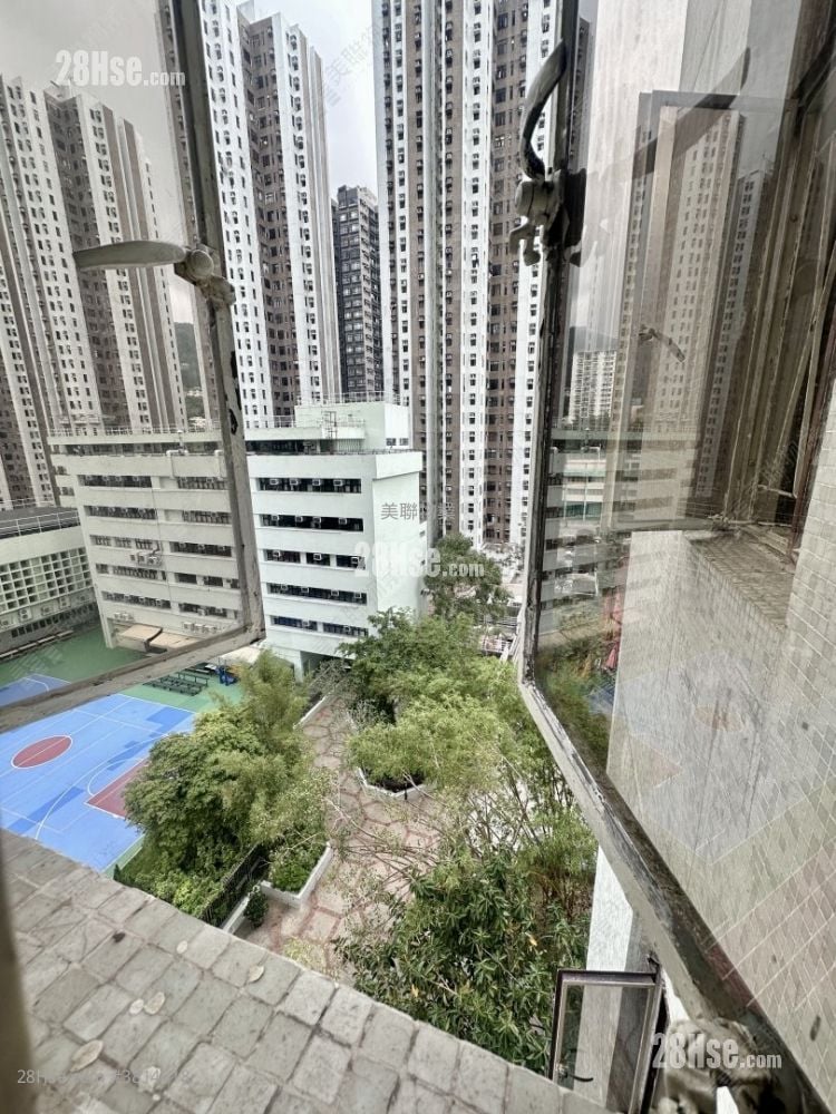 厅: 绿杨新邨 租盘 2 房 , 1 浴室 445 平方尺