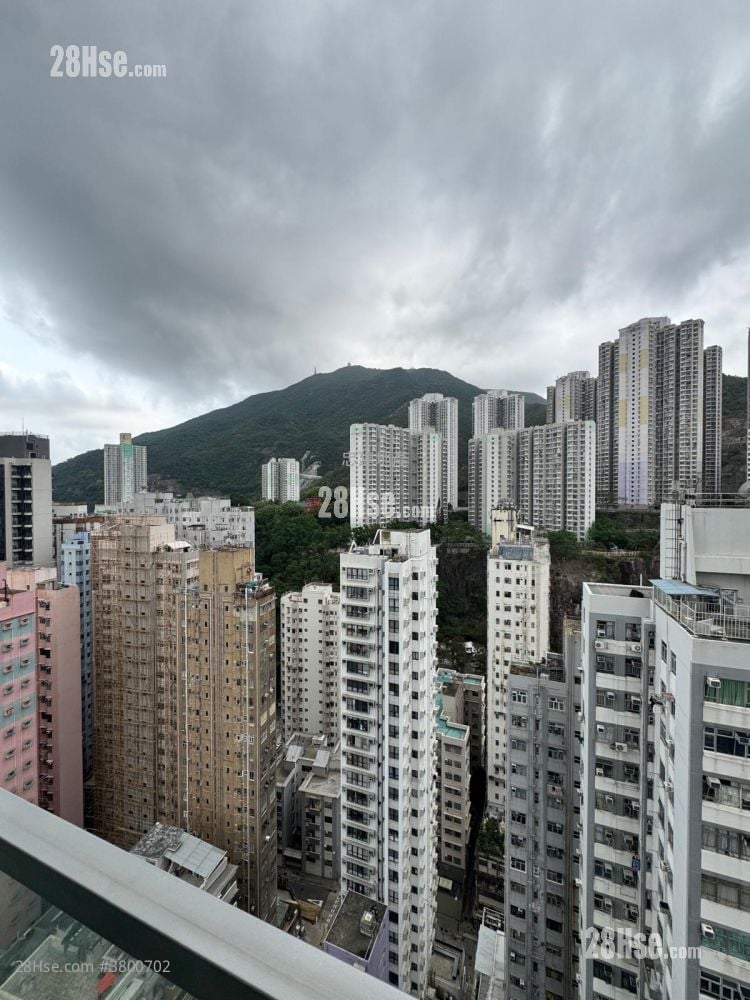 ISLAND RESIDENCE 租盘 开放式间隔 , 1 浴室 272 平方尺