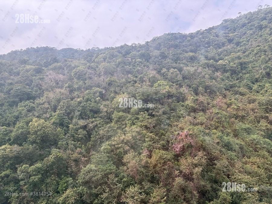 Beacon Peak 租盘 768 平方尺