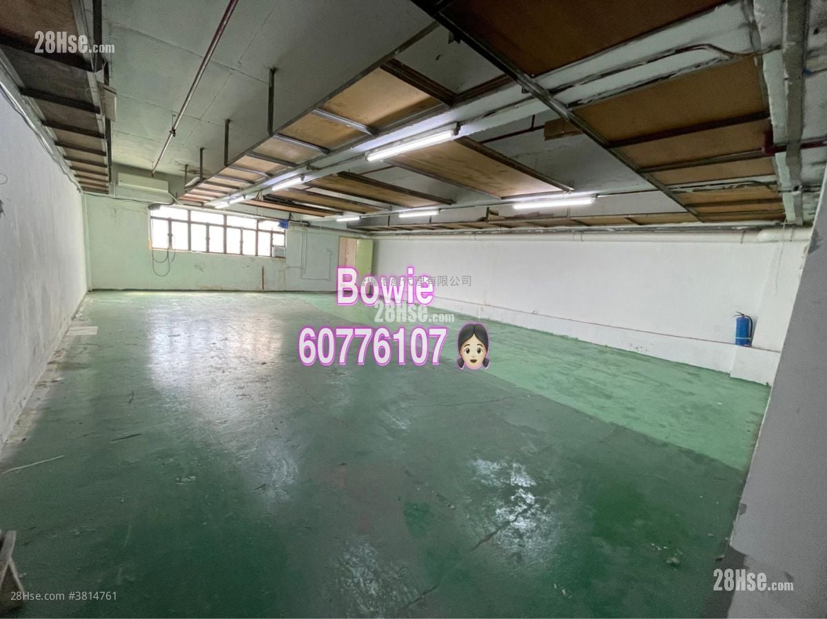 荣丰工业大厦 租盘
