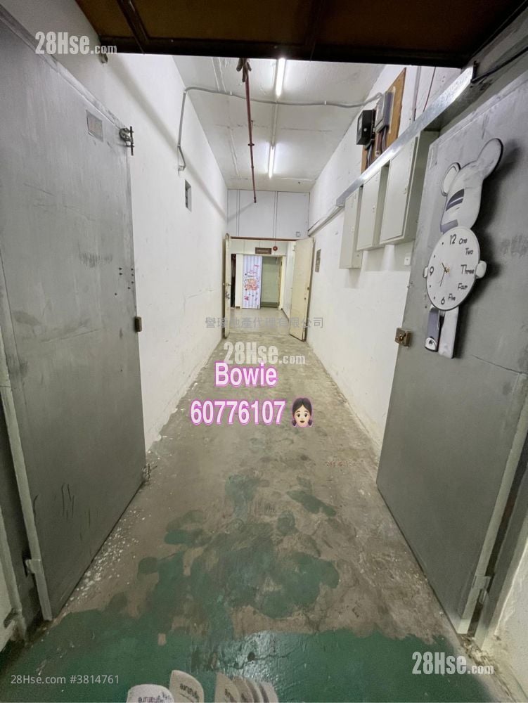 荣丰工业大厦 租盘