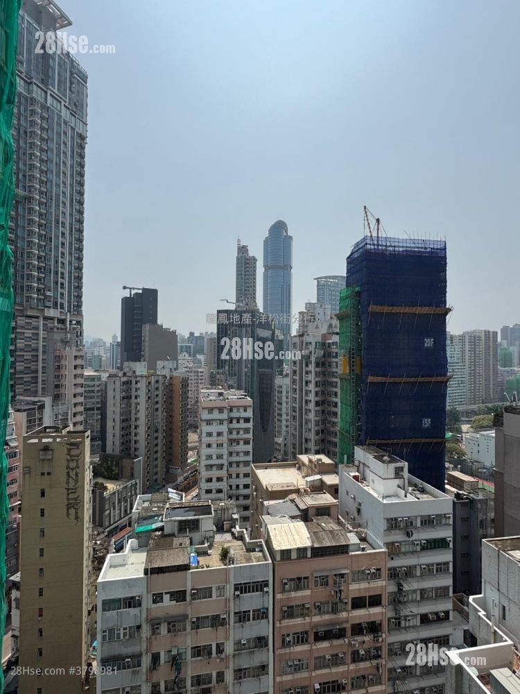 利晴湾23 租盘 开放式间隔 , 1 浴室 276 平方尺