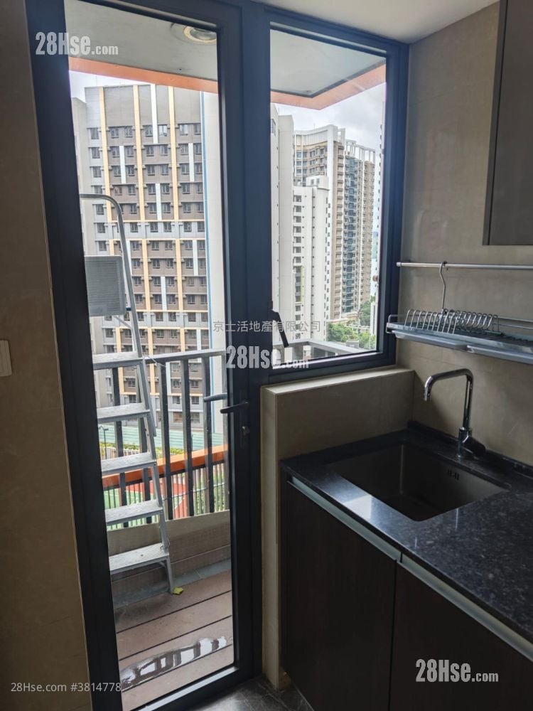 Double Cove Sell 1 Bathroom 497 ft²