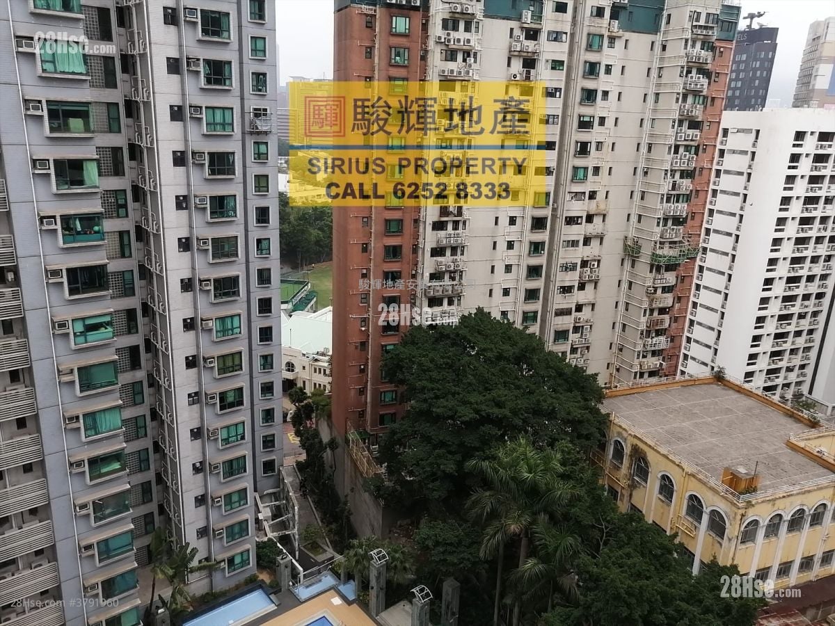 德成轩 租盘 429 平方尺