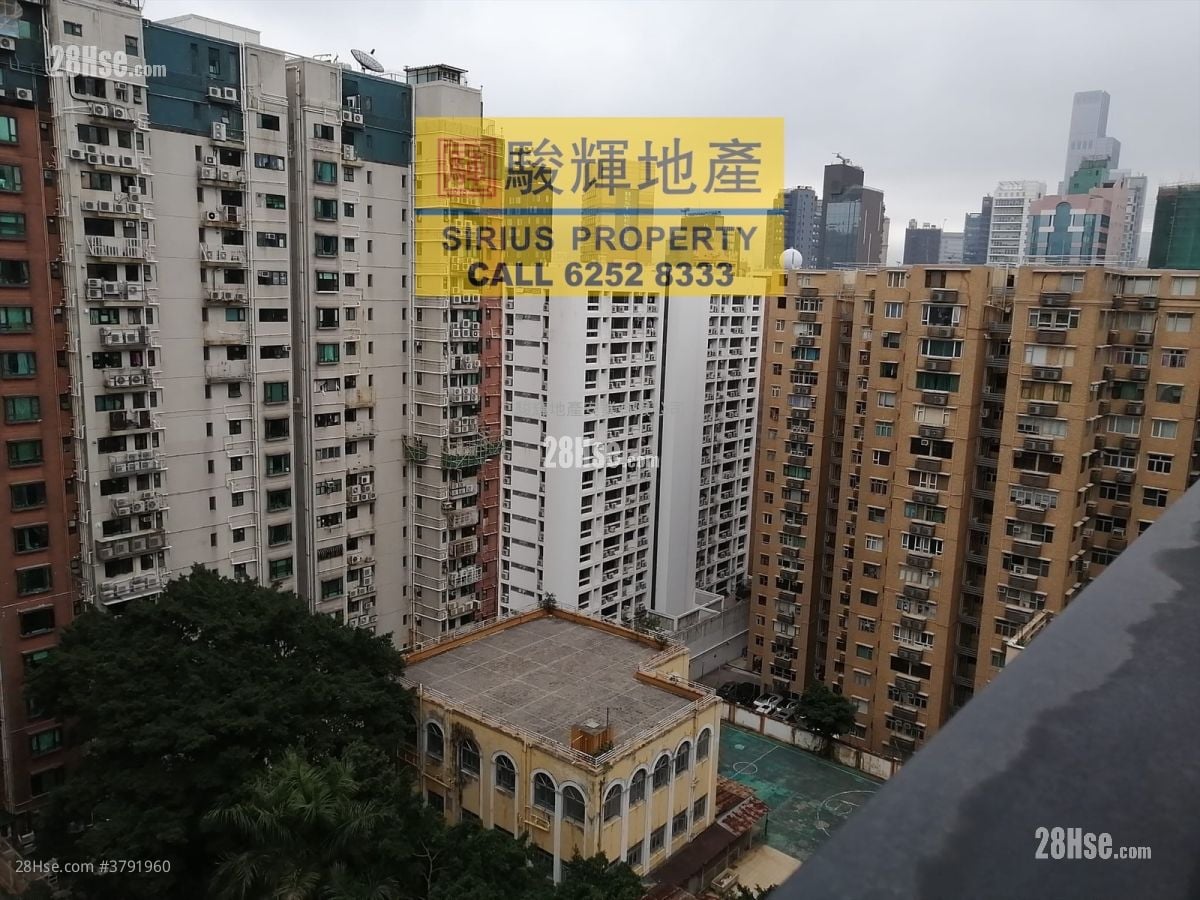 德成轩 租盘 429 平方尺