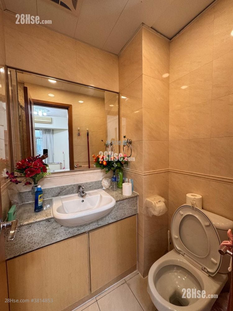 成龍居 售盤 1 房 315 平方呎