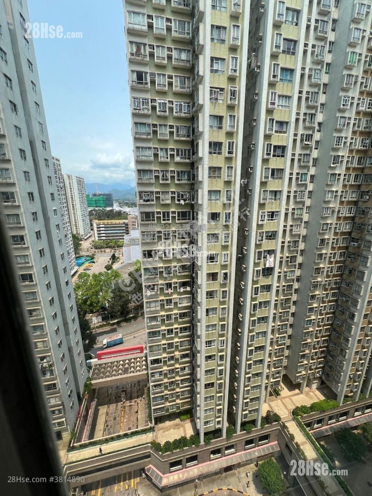 粉嶺中心 售盤 2 房 , 1 浴室 368 平方呎