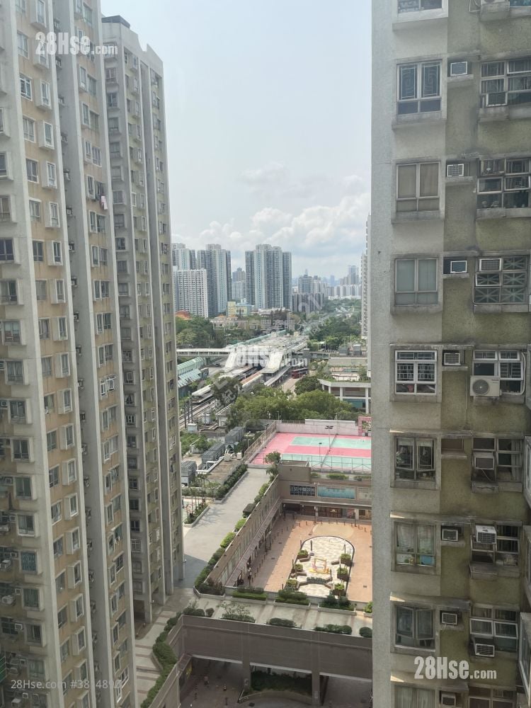 粉嶺中心 售盤 2 房 , 1 浴室 368 平方呎