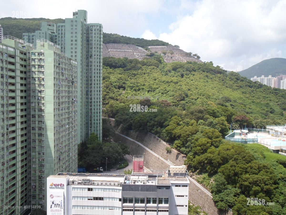 富欣花園 售盤 430 平方呎