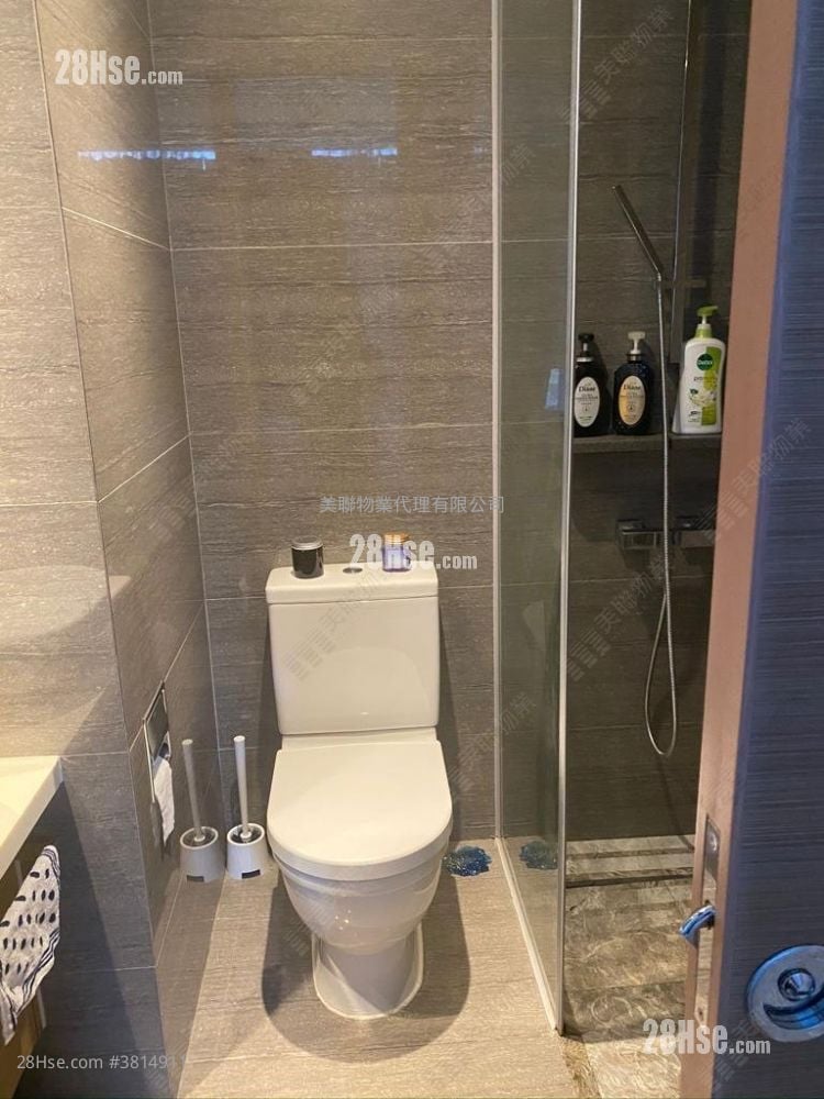 晓悦 售盘 1 房 273 平方尺