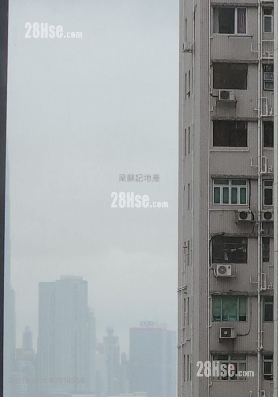 Wilson Court Rental 1 Bedroom , 1 Bathroom 297 ft²