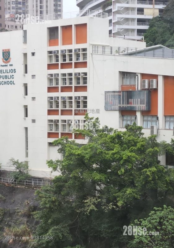 Wilson Court Rental 1 Bedroom , 1 Bathroom 297 ft²