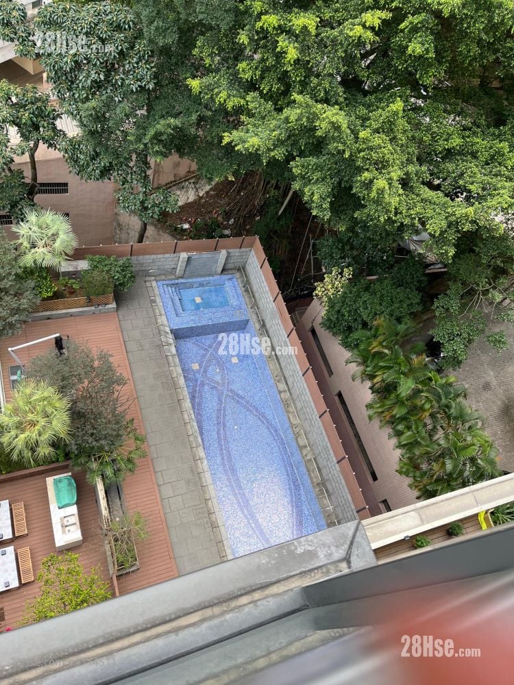 尚峦 租盘 开放式间隔 , 1 浴室 273 平方尺