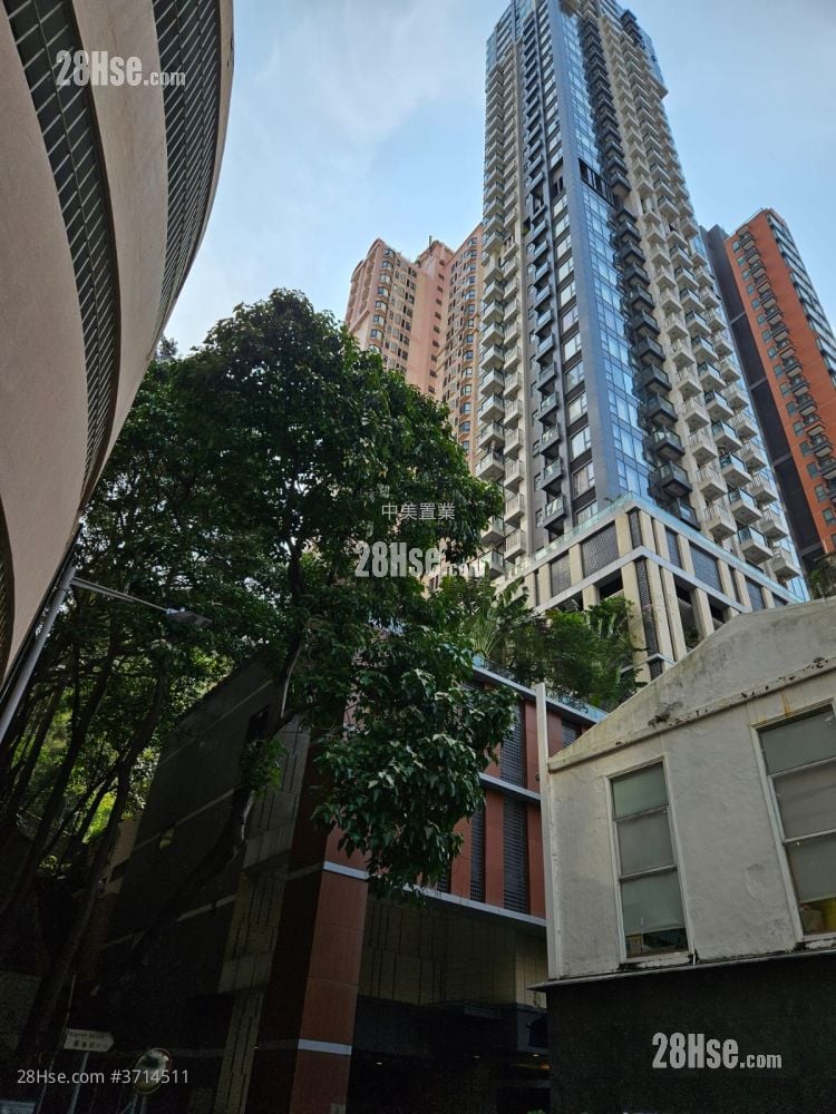 尚峦 租盘 开放式间隔 , 1 浴室 273 平方尺