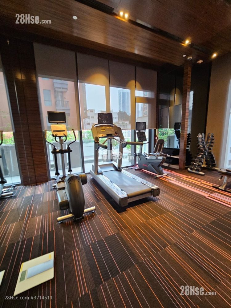 尚峦 租盘 开放式间隔 , 1 浴室 273 平方尺