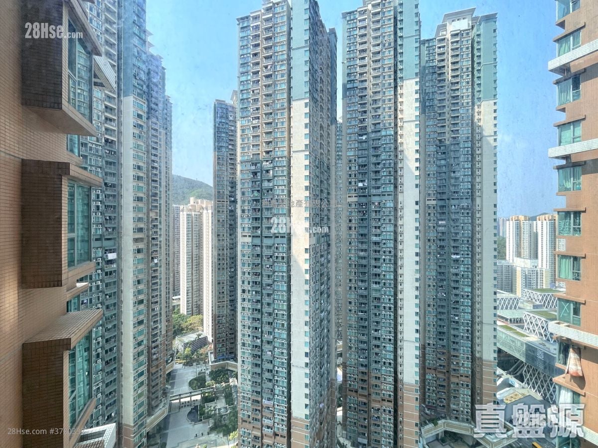 Ocean Shores Rental 2 Bedrooms , 1 Bathroom 517 ft²