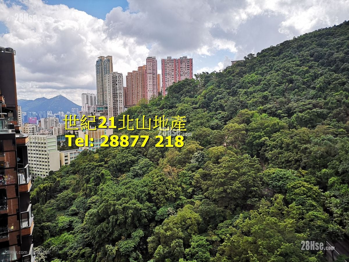 柏傲山 租盘 5+ 房 , 5+ 浴室 3,365 平方尺