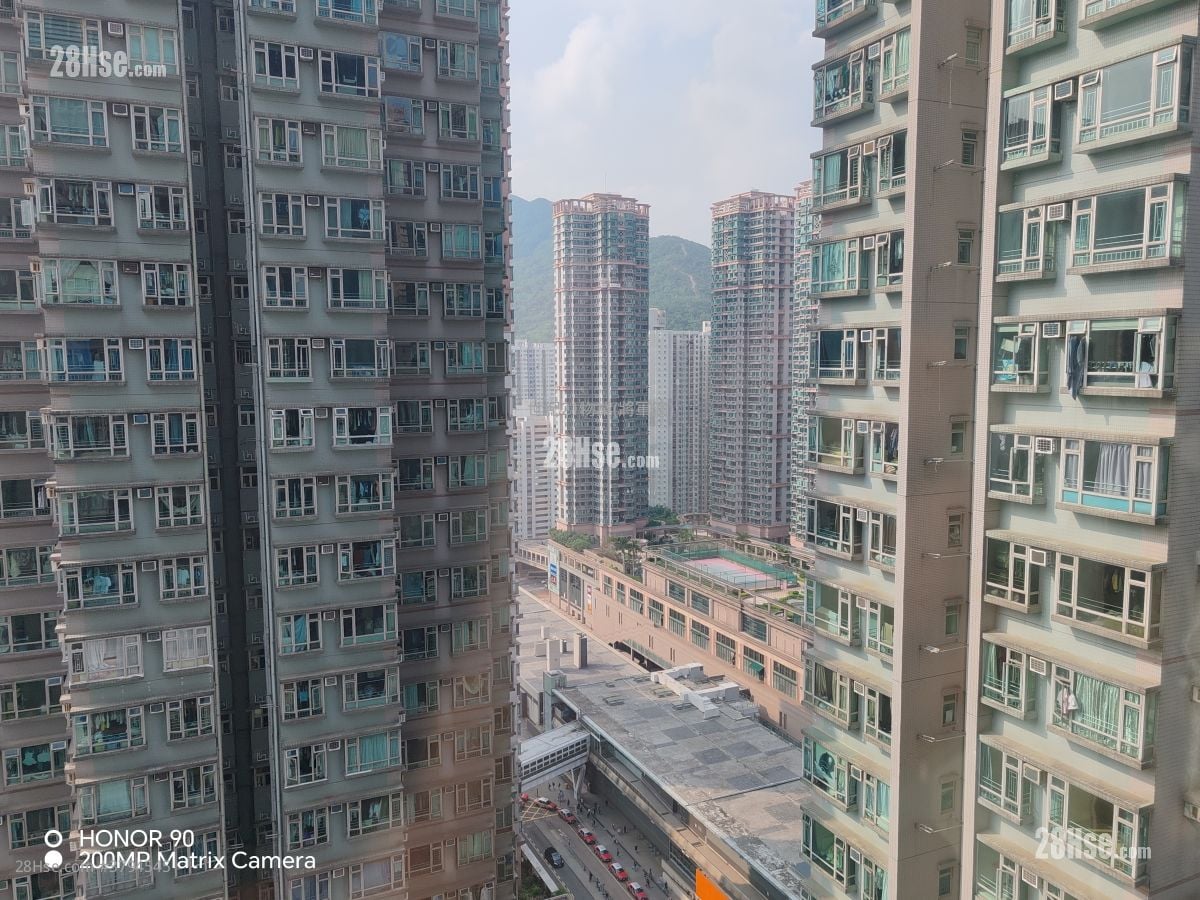 The Metro City Rental 364 ft²