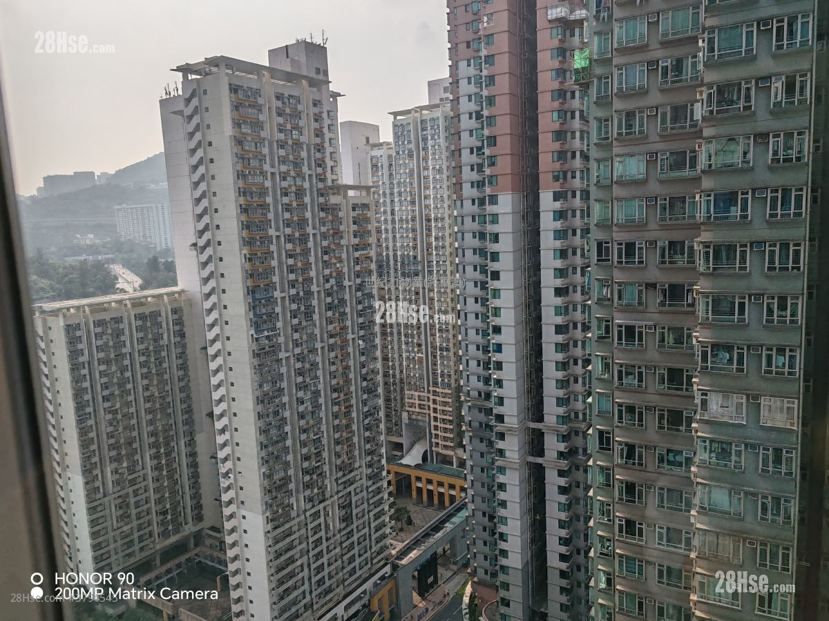 The Metro City Rental 364 ft²