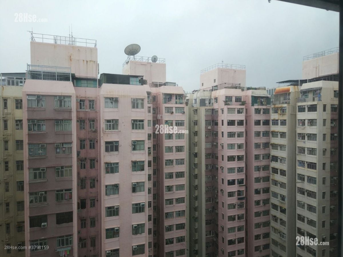 荃湾中心 租盘 2 房 , 1 浴室 377 平方尺