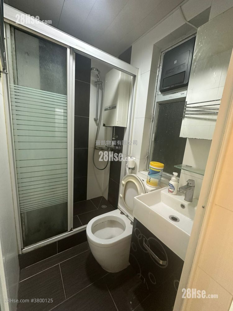 碧丽阁 租盘 1 房 , 1 浴室 288 平方尺