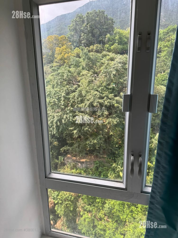 碧丽阁 租盘 1 房 , 1 浴室 288 平方尺