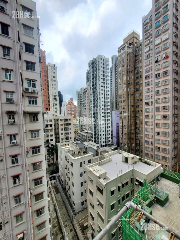 碧丽阁 租盘 1 房 292 平方尺