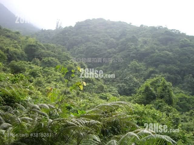 土地 售盤 299,257 平方呎